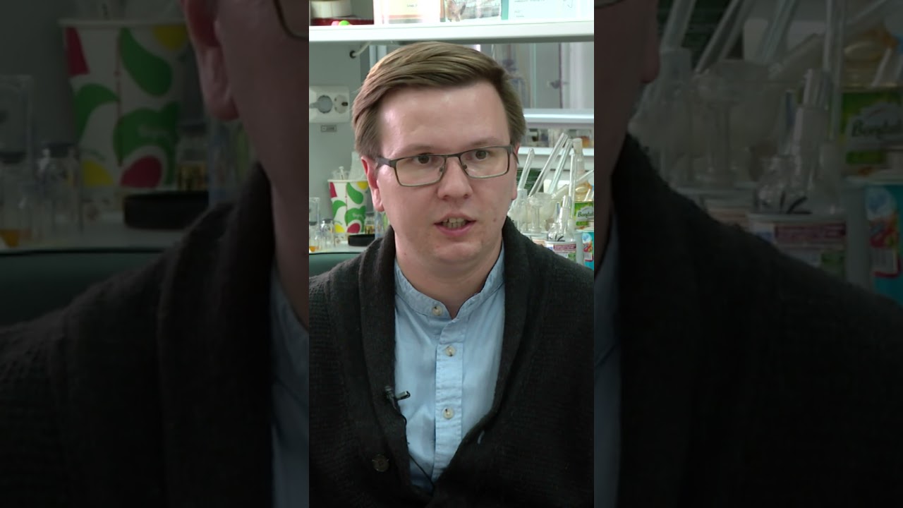 ЧЕМ ТРАВЯТ СОБАК?