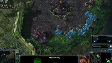 Wyndrunner (Z) vs Kaosbringer (T) G1P1 3-11-10 Starcraft 2 Beta