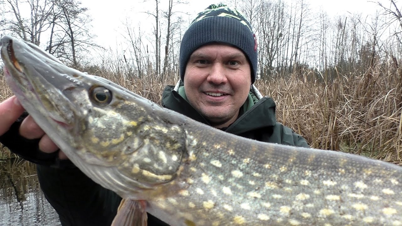 ✅Досить цікава ПРИМАНКА приносить мені ТРОФЕЙНУ ЩУКУ!🏆