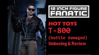 HOT TOYS Terminator: T-800 Battle Damaged Unboxing & Review