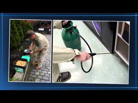 Village Exterminating Dobbs Ferry Ny You Village Exterminating Dobbs Ferry Ny