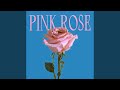 Pink rose