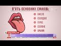 Як працюють смакові рецептори людини