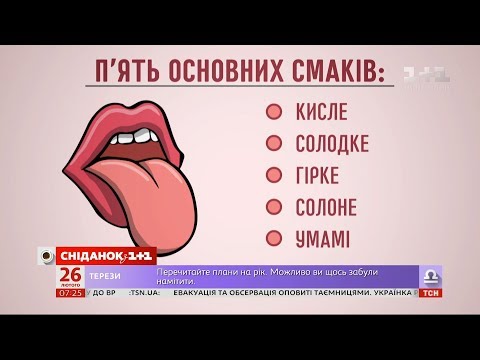 Как работают вкусовые рецепторы человека