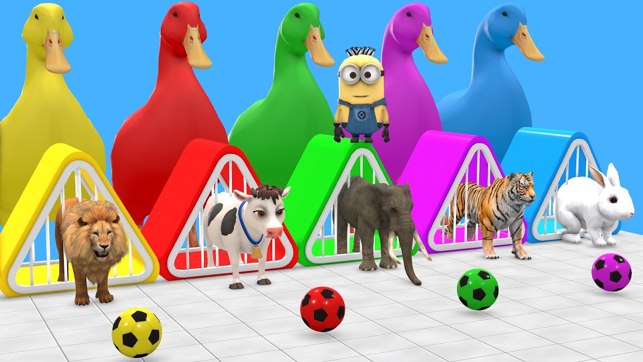 Long Slide Game With Elephant Gorilla Buffalo Hippopotamus Tiger 3d Animal Game Funny 3d Animals