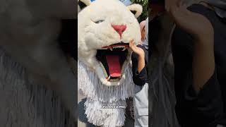 Can Macanan Di Kawal Sama Dede Tobrut