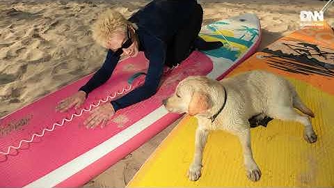 Machiot - Teen Sái Cổ ft. tlinh, Vĩnh Thuyên Kim | Đổi Nhạc Nền Vol. 3 (Official Visualizer)