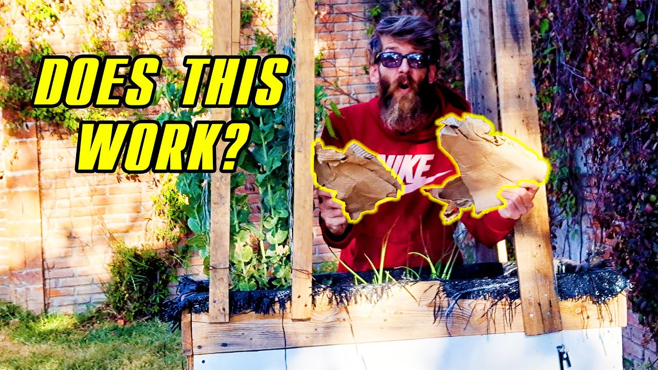 Can Cardboard Actually Warm Your Garden Soil in Winter?