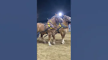 قوة الحصان في الجر 