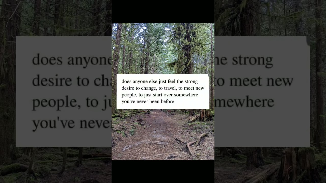 Controversial take- trees are better than people. 💚🌲 