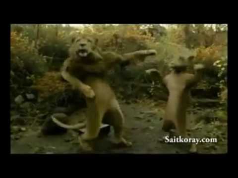 მაგარია !!!!!!!!!!!!