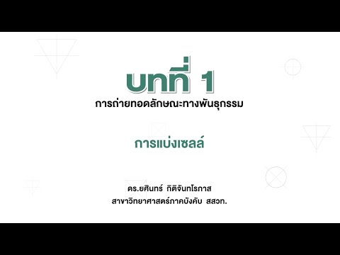 วีดีโอ: มีสารพันธุกรรมอยู่ในเซลล์เท่าใดในระหว่างการพยากรณ์ 1?