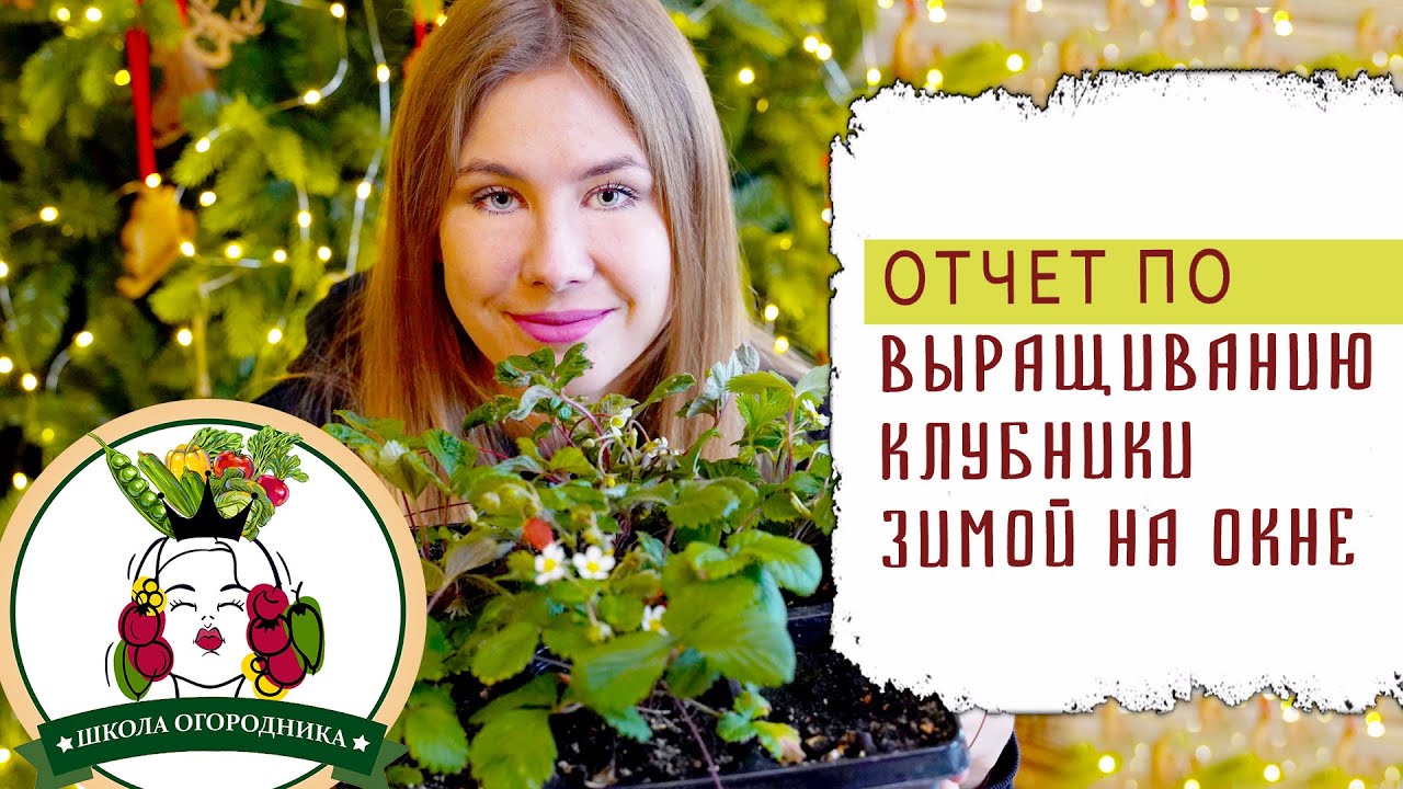 Нетипичный Фермер Пенза Интернет Магазин