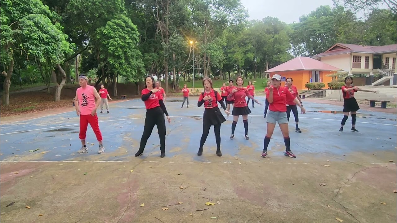 我曾经发了疯的想/ Super Dance Group 