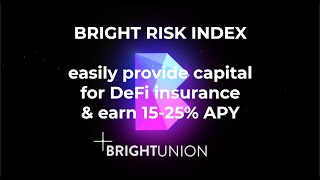 Bright Risk Index: Easily provide capital for DeFi insurance and earn 15 - 25% APY on stables. screenshot 2