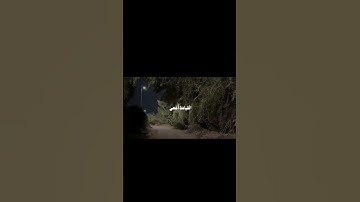 تلاوة|سورة طه|ومن أعرض عن ذكري فإن له معيشة ضنكا|#تلاوة_مميزة#اكسبلور #تلاوات#قرآن#القرآن_الكريم|