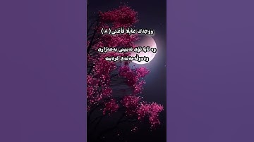 سورة الضحى ❤️القران الكريم