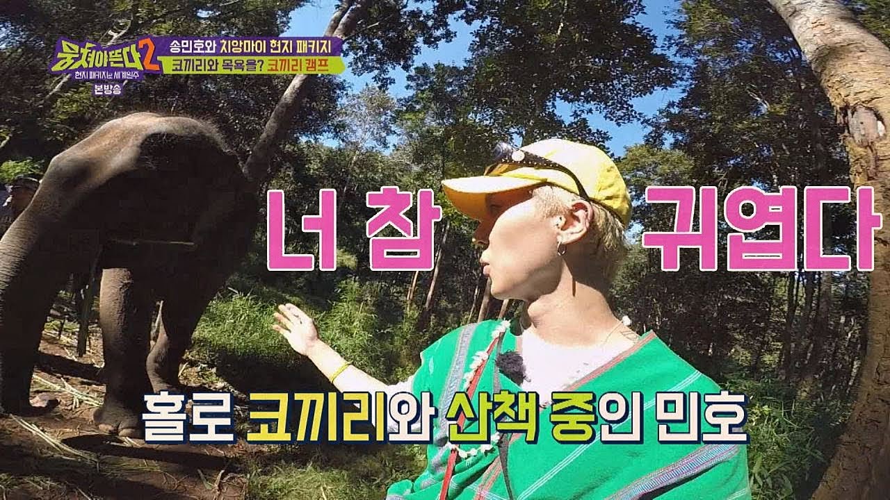 형들과 달리 능숙하게 코끼리와 산책하는 민호(Mino) (너 참 귀엽다♡) 뭉쳐야 뜬다(Package tour)2 11회