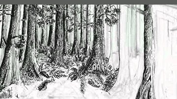 How to Draw: Ink a Natural Landscape (Time-lapse)