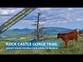 Rock Castle Gorge Trail | Interesting Yet Challenging Hike | Rocky Knob Area, Virginia