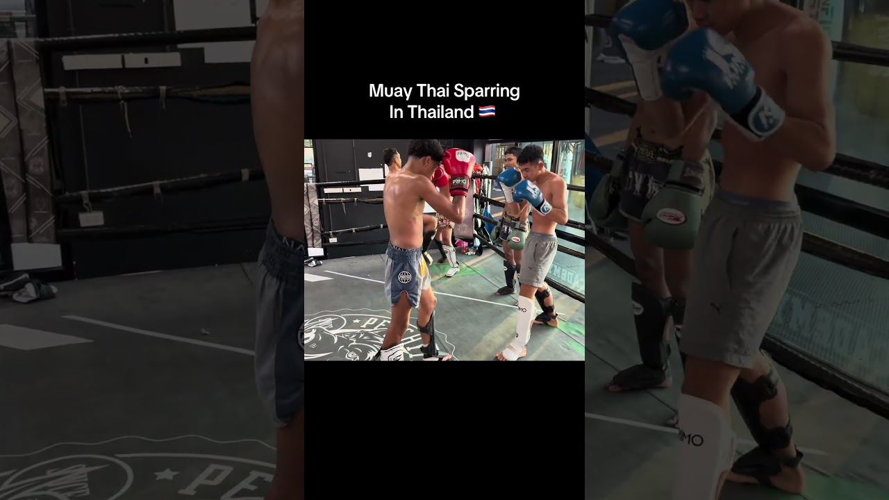 15yr Old Farang vs Thai Muay Thai Sparring in Thailand 🇹🇭 