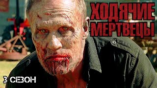 Подробный пересказ ХОДЯЧИЕ МЕРТВЕЦЫ - 3 сезон (The walking dead) [сюжет сериала]