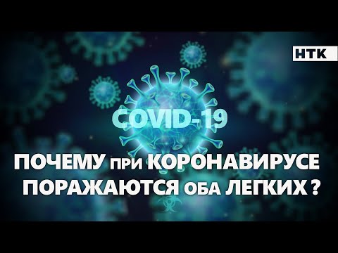 Почему поражаются оба легких при коронавирусе ?