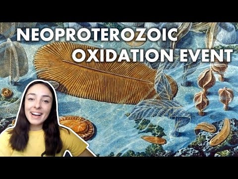 The Neoproterozoic Oxygenation Event (NOE) | GEO GIRL