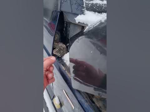 Рендж ровер пегас жив! - YouTube