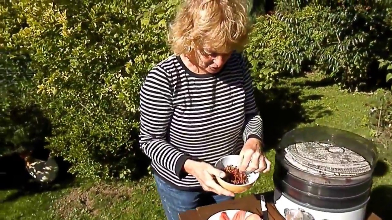 Keutenberg, szechuanpeper oogsten in ecotuin Keutenberg