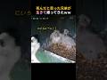 死んだと思っていた兄弟が生きて帰ってきたｗｗｗ
