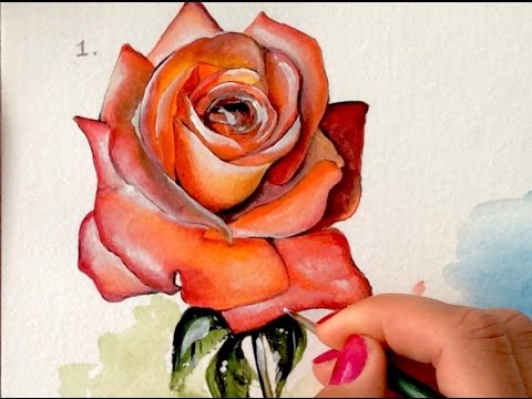 วีดีโอ: วิธีการวาดดอกกุหลาบด้วย Gouache