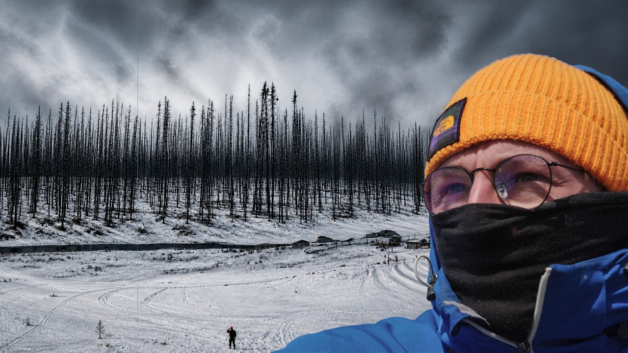 Que reste-il des forêts brûlées au Canada ?