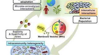 Microbial Ecology, section 1 (Estimation of Microbial growth by viable plate count , Dry weight)