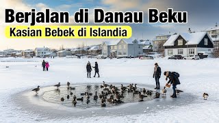 Download Lagu Pertama Kali Berjalan di Danau Beku Islandia di Kota Reykjavik II Banyak Bebek dan Angsa #WNI MP3 Download Lagu Pertama Kali Berjalan di Danau Beku Islandia di Kota Reykjavik II Banyak Bebek dan Angsa #WNI MP3