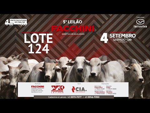 LOTE 124 - 5º LEILÃO FACCHINI 04/09/2021