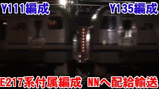 E217系Y111編成、Y135編成、NNへ廃車配給輸送【2021/3/11】