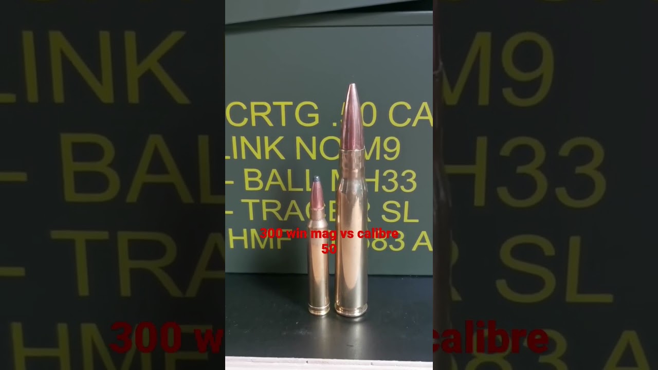 300 win mag vs calibre 50
