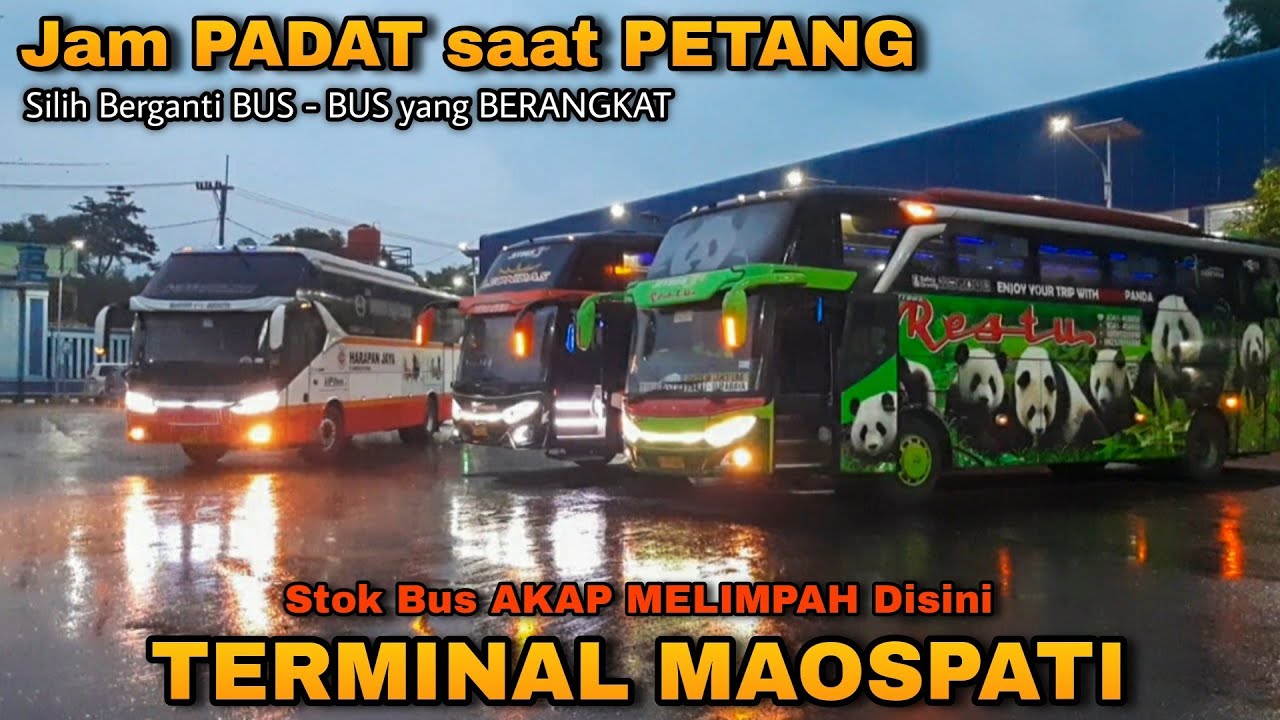 Jam PADAT Saat PETANG!! Stok BUS AKAP MELIMPAH di TERMINAL MAOSPATI||Harapan Jaya,Rosalia Indah,EKA