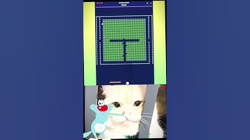 mosquitoes in my bedroom at night 39 #shortvideo #cat #cutecat #barabaraberebere #brickbreaker 39