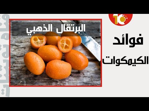 فوائد فاكهة الكيمكوات فوائد فاكهة الكمكوات العظيمة البرتقال الذهبي فوائد الكيمكوات فوائد
