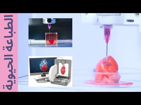 فيديو: ما هي الطابعات الطبية الحيوية ثلاثية الأبعاد؟
