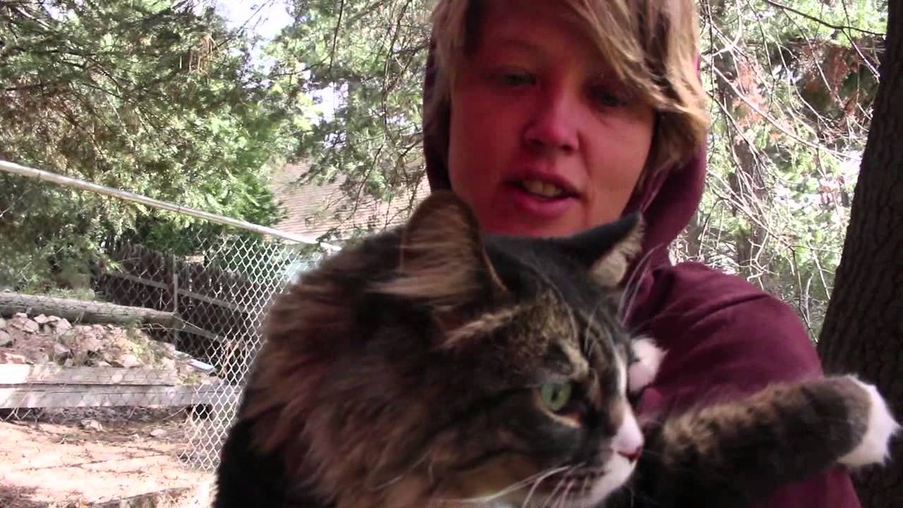 Running Springs: A place that feels like home