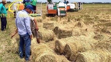 Chuyện Cuốn Rơm - Cty TNHH NN Thái Thông