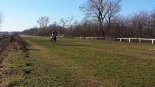 20140213 092928