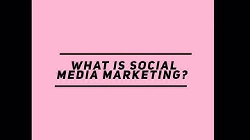 MKTG 1427: RMIT Digital Marketing x Love, Bonito