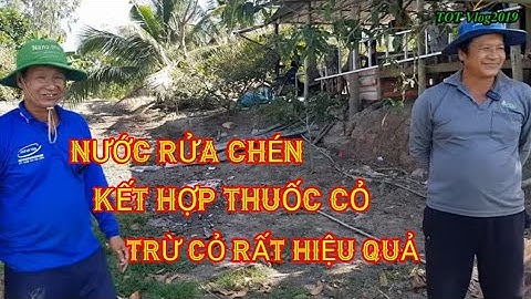 NƯỚC RỬA CHÉN KẾT HỢP VỚI THUỐC  TRỪ CỎ , DIỆT CỎ TRÊN RUỘNG LÚA TỪ 15 - 30 NGÀY  , CỰC KỲ HIỆU QUẢ