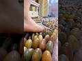 Foot Massage Cushion Satisfying Shot Foot Massage Cushion Satisfying Shot
