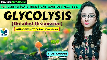 Glycolysis Pathway (Full Detail)  || Teaching Pathshala