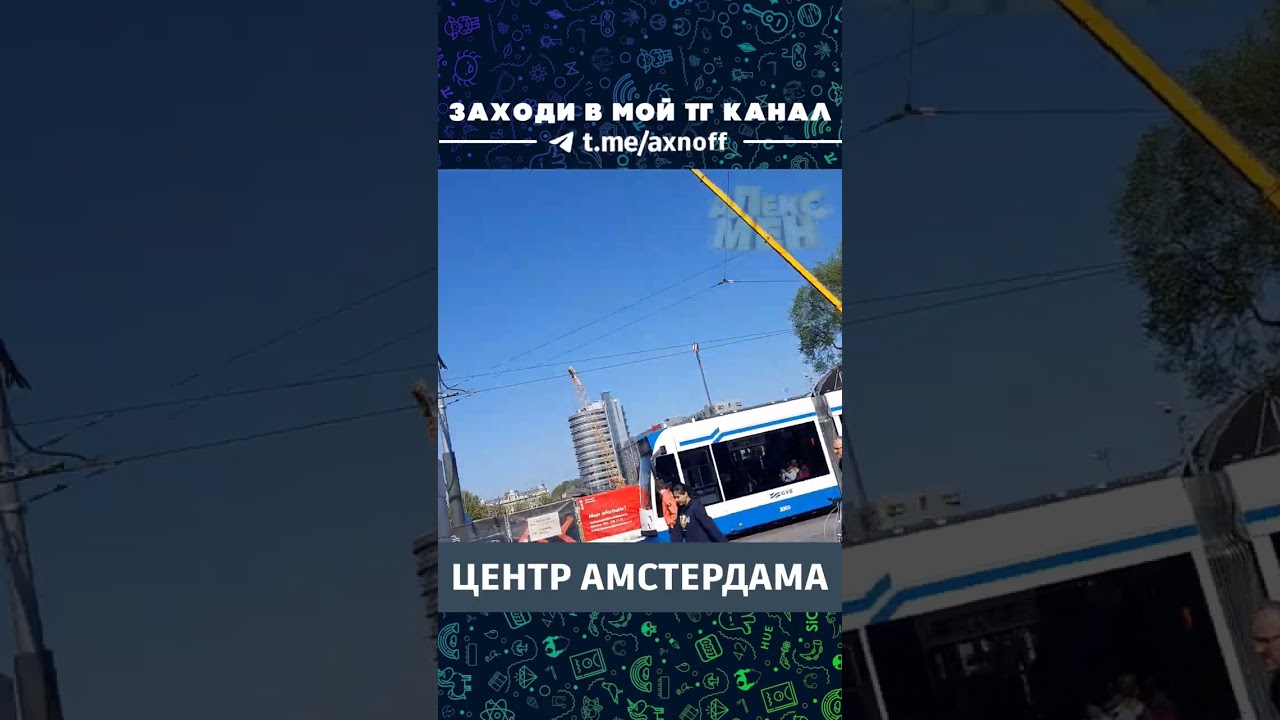 ЦЕНТР АМСТЕРДАМА l Шорты Алекса 